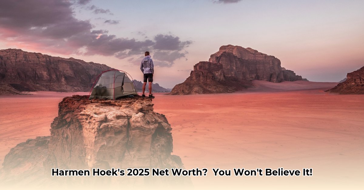 harmen-hoek-net-worth